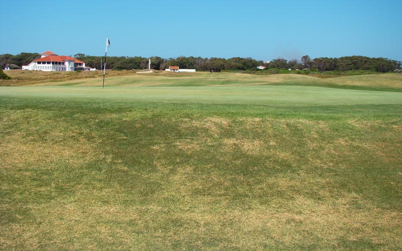 Humewood Golf Club, Golf in South Africa, Major S. V. Hotchkin