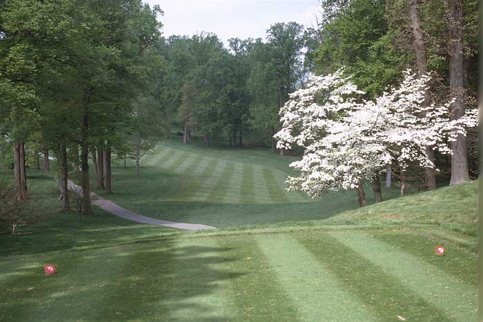 This shot is from the forward tee. A shot from the championship tee is through a much longer chute of trees.