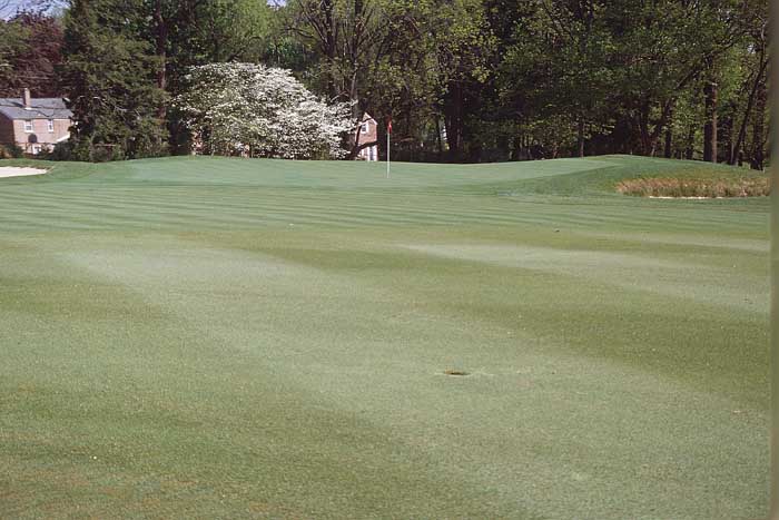 There are many difficult pin positions on this highly contoured green. To get near this pin position, the ideal shot must land short and on the far left side of the green.