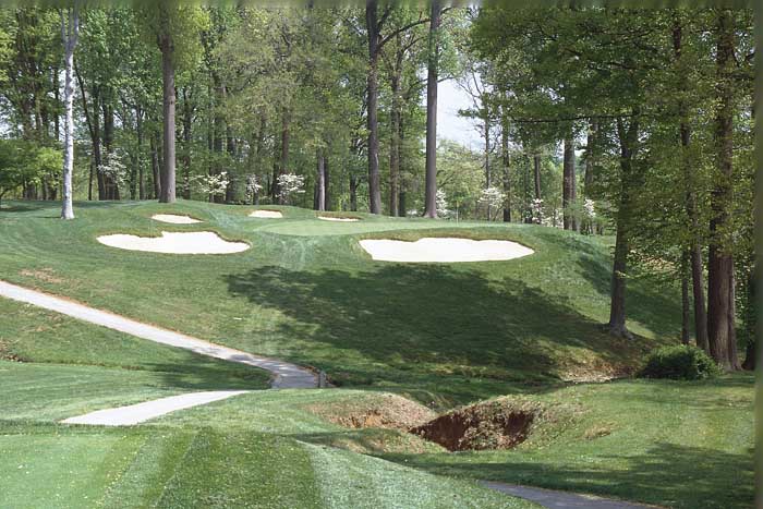 Amongst the bunkers and the trees is a green that welcomes accuracy with the short irons.