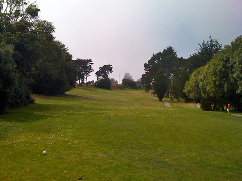 The drivable second hole, with the flag barely visible under the branches of the first tree on the right.